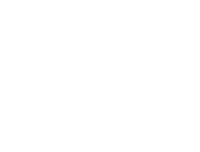 Fusion Steppas